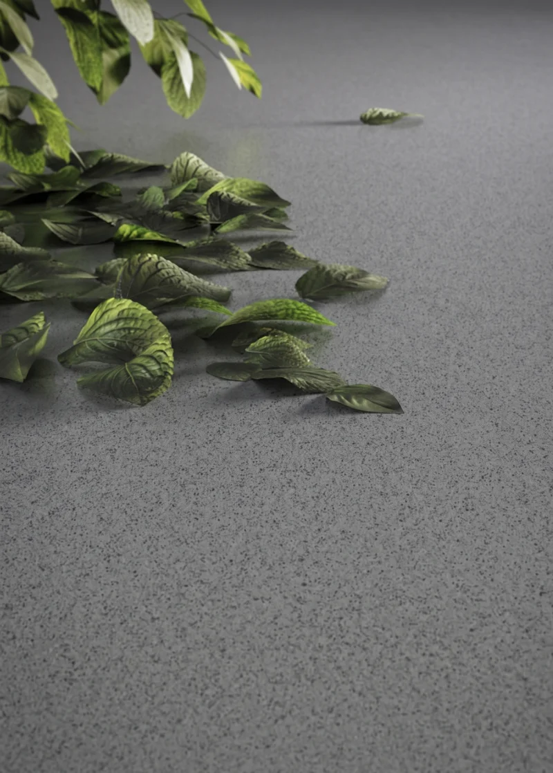 Feuillage posé sur un quartz gris au grain cuir : la texture accroche une lumière rasante
